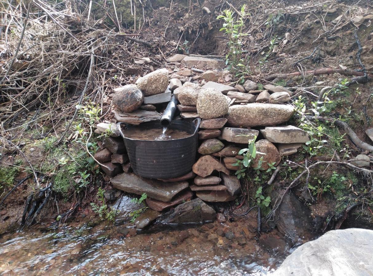 Casa Rural El Arroyo Sotoserrano Dış mekan fotoğraf