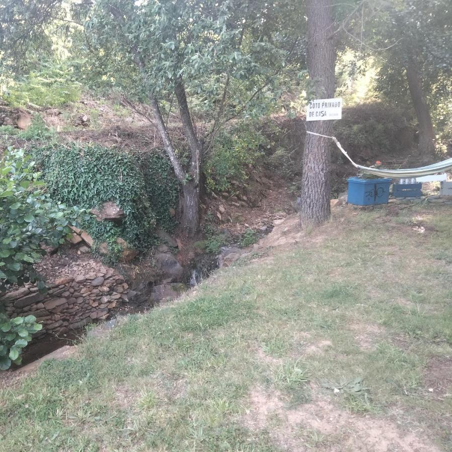 Casa Rural El Arroyo Sotoserrano Dış mekan fotoğraf