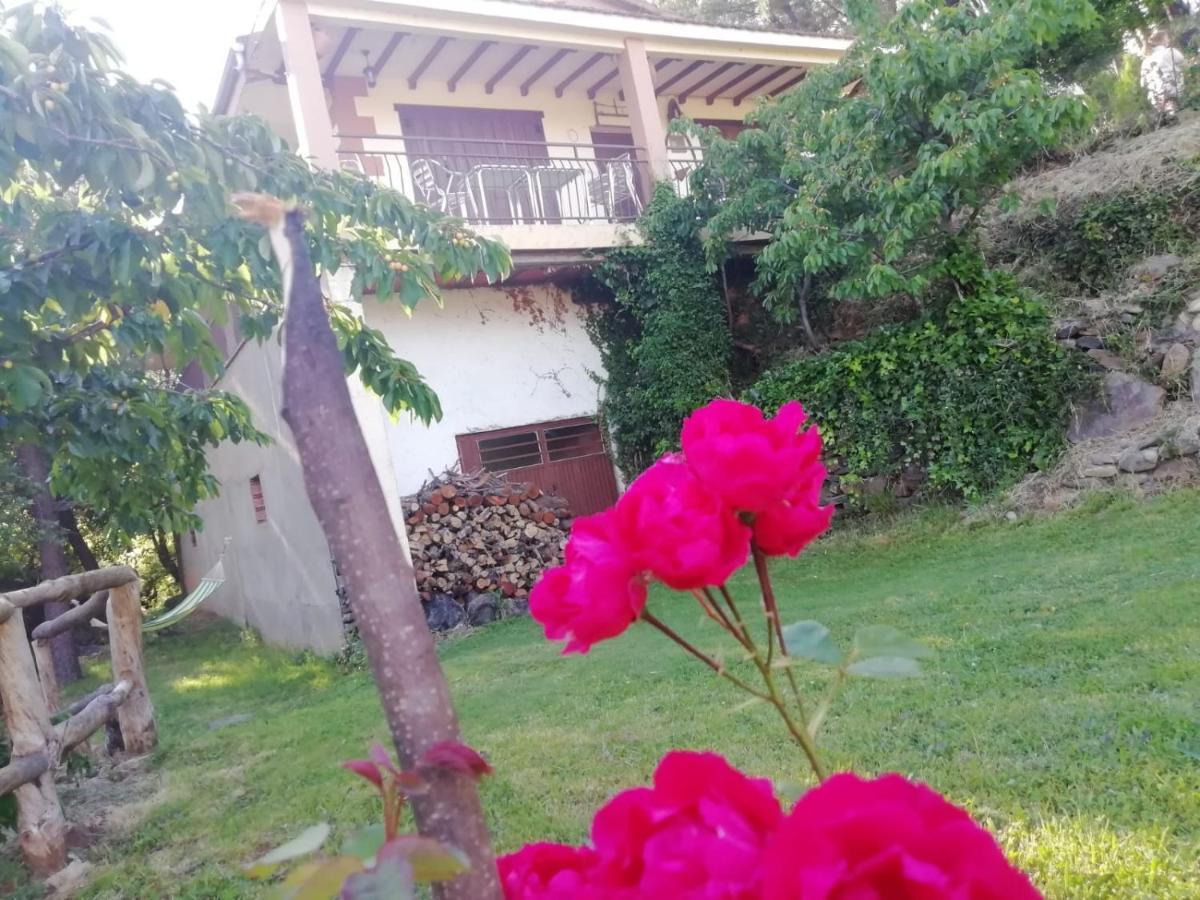 Casa Rural El Arroyo Sotoserrano Dış mekan fotoğraf